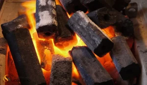 راه‌ اندازی کسب‌ و کار تولید و توزیع زغال چوب