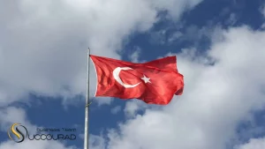 ایده کسب‌وکار پرسود در ترکیه